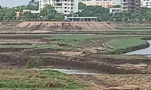 Greens Urge Rethink Of Bhadrakali Lake Island Plan Amid Shrinkage Fears