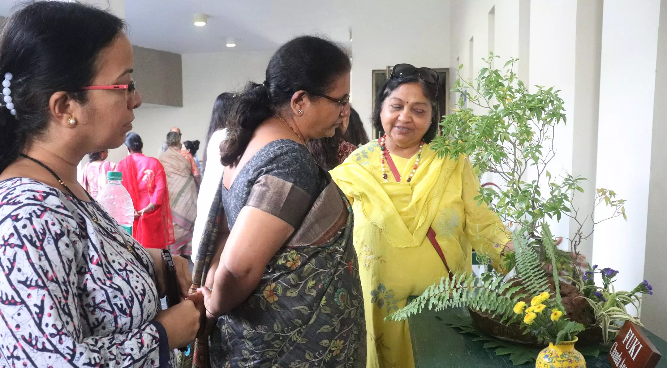 Hyderabads unique rock formations celebrated