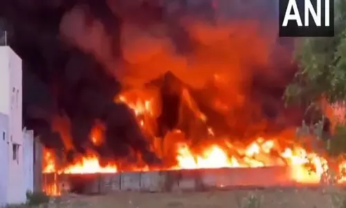 Tamil Nadu: Goods Train Ferrying Oil Catches Fire, Train Services Hit