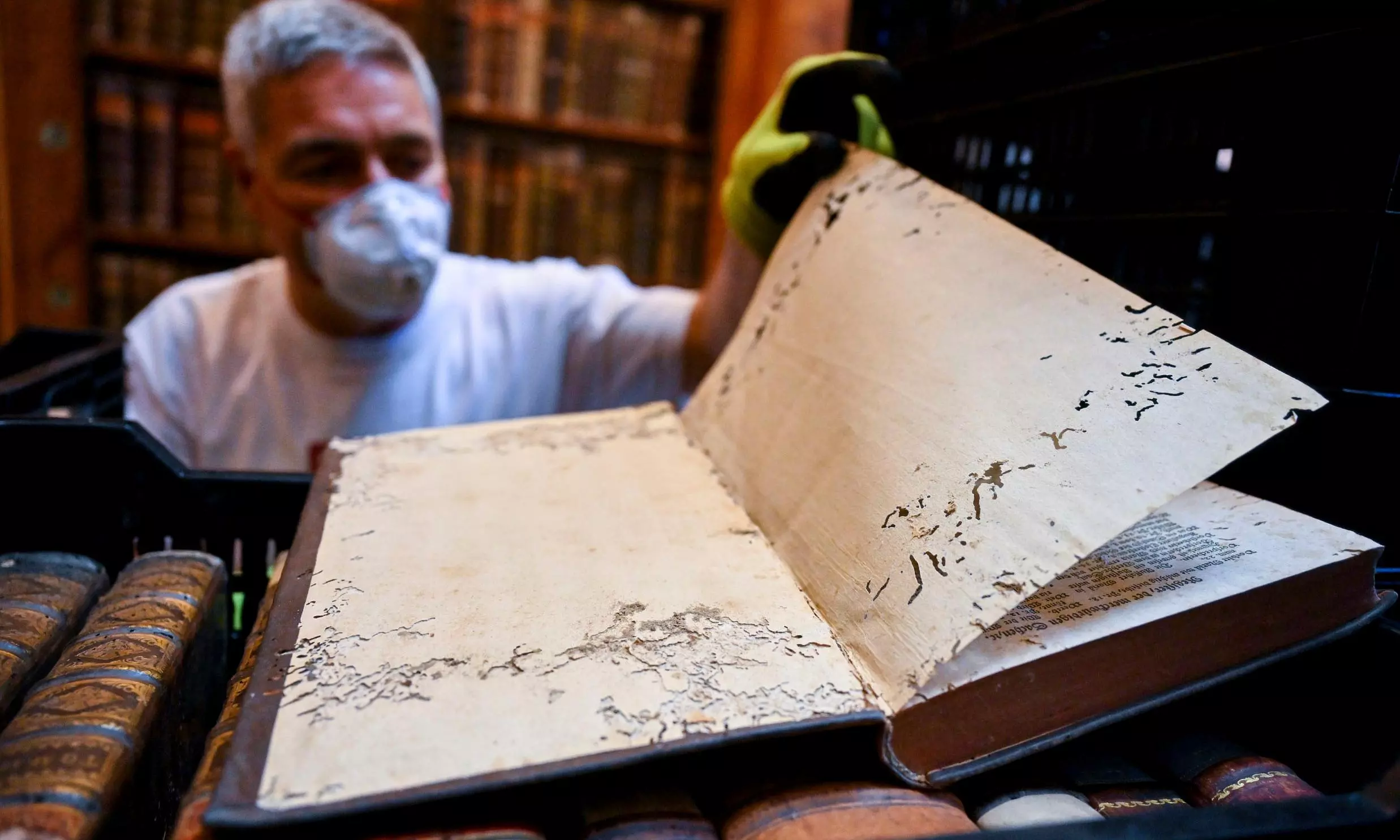 Hungary’s Oldest Library Struggles to Save 100,000 Books from Beetle Infestation Hungary’s Oldest Library Struggles to Save 100,000 Books from Beetle Infestation