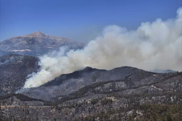 Syria Clashes Between Druze Militias, Sunni Bedouins Kill Over 30 People