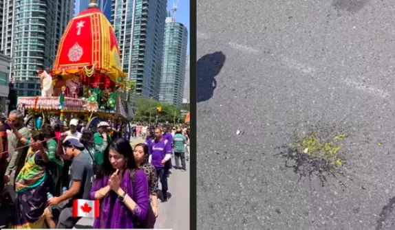 Such Despicable Acts...: India On Disruption Of Rath Yatra In Toronto