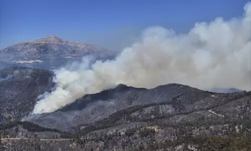 Syria Clashes Between Druze Militias, Sunni Bedouins Kill Over 30 People