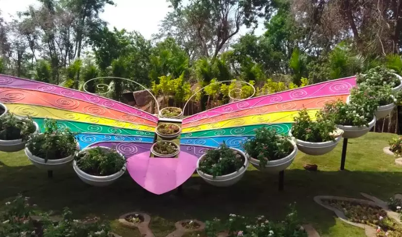 Harsh Climate Leaves Park Bereft Of Butterflies