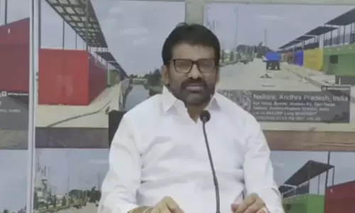 NGT Directives for Vending Area Along Nellore’s Jafar Saheb Canal