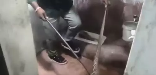 Snake Captured in Govt. Boys Hostel Faculty’s Washroom in Nagarkurnool