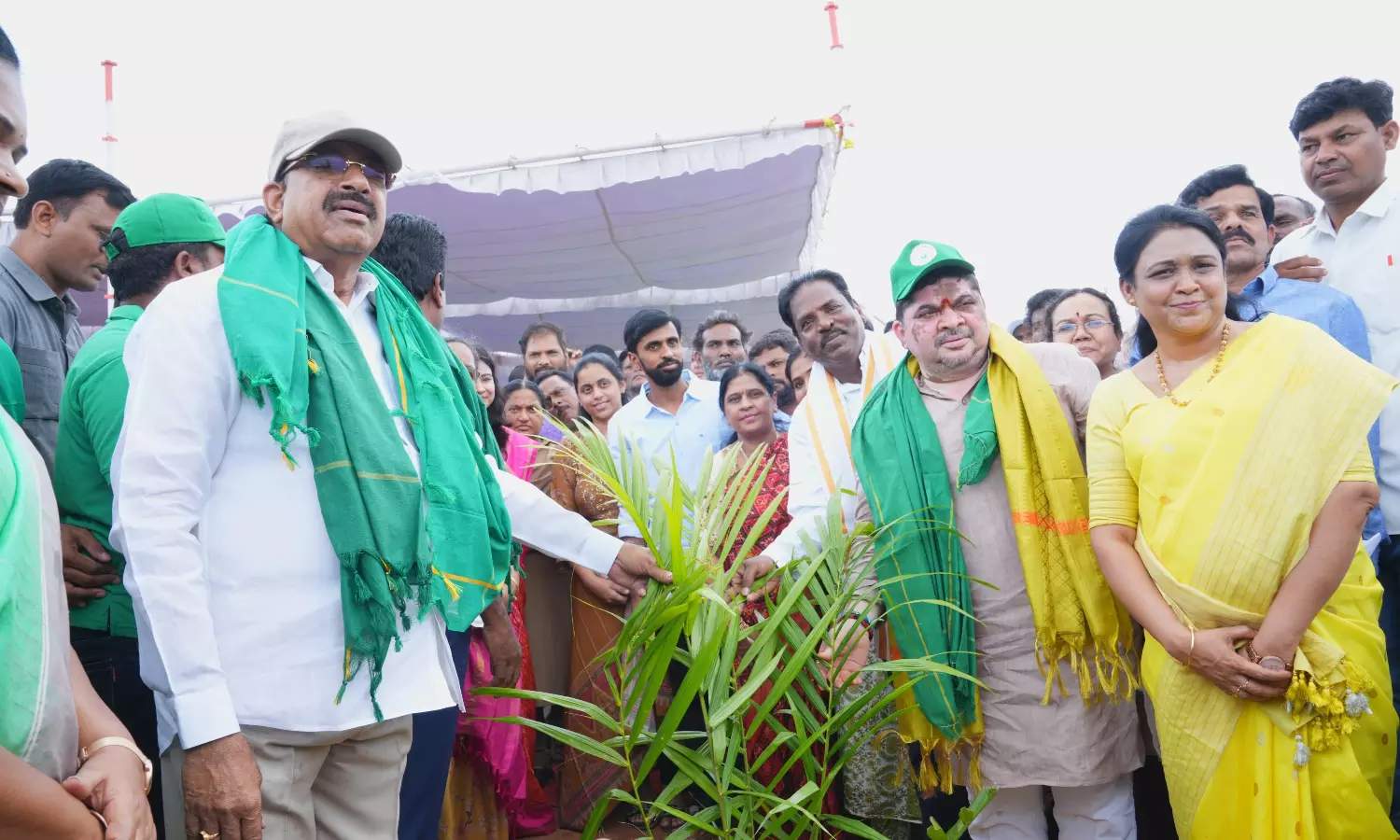 Tummala: Husnabad To Be Oil Palm Production Hub