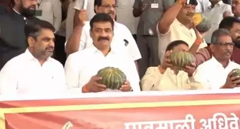 Oppn Stages Pumpkin Protest, Claims People Received Nothing From Maharashtra Govt