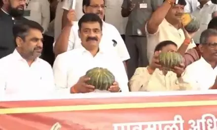 Oppn Stages Pumpkin Protest, Claims People Received Nothing From Maharashtra Govt