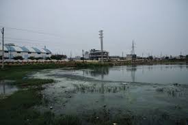 Hyderabad Lake Polluted by Industrial Effluents for Decades
