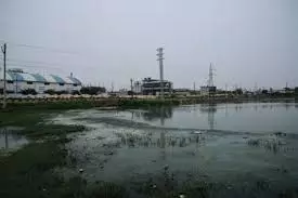 Jeedimetla Factories Pollute Quazi Lake With Effluents