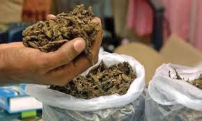 Ganja arrests and construction builder suicide reported