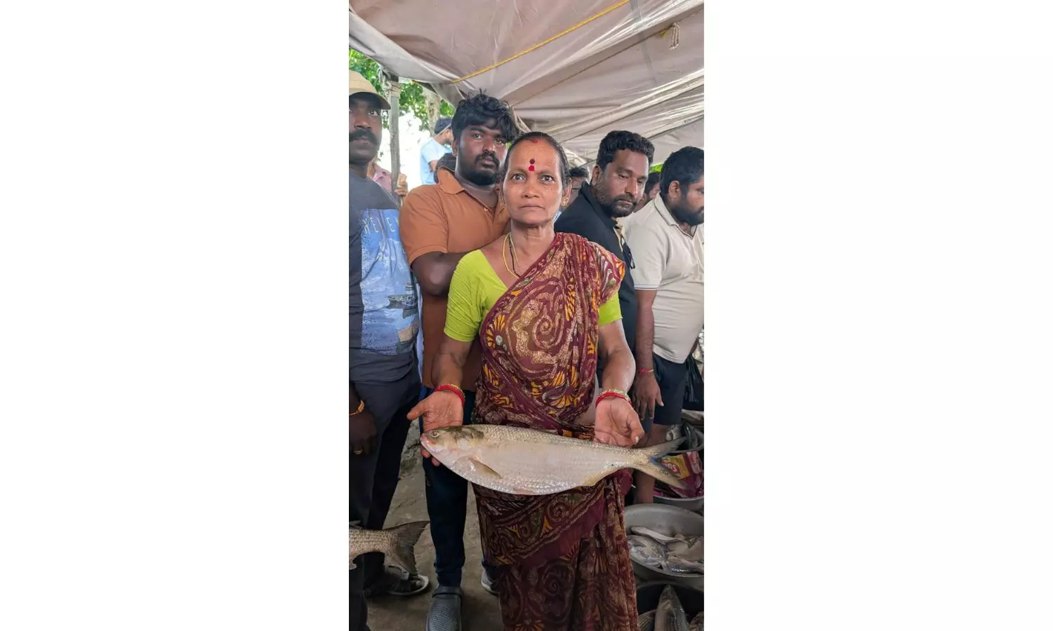 Pulasa Netted In Floodwaters, One Sold At Rs 22,000 For 800 grams