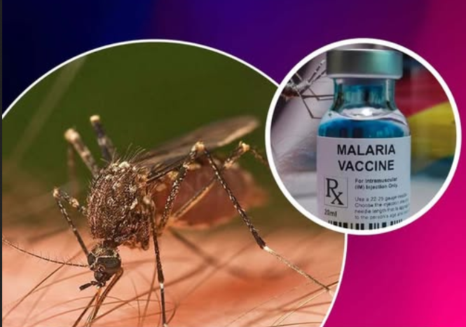 India Won't Adopt Malaria Vaccines for Low Transmission Setting