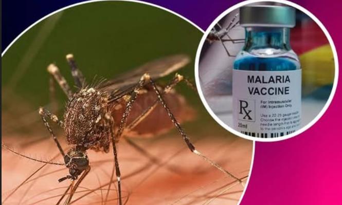 India's Indigenous Malaria Vaccine Shows Promising Results
