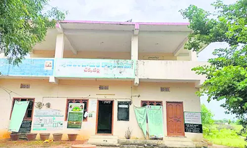 Chekkapalli Village Champions Green Practices