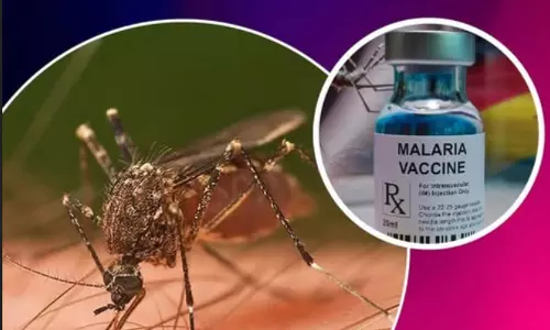 Malaria Vaccines Not Needed for India’s Low-Transmission Setting: Experts