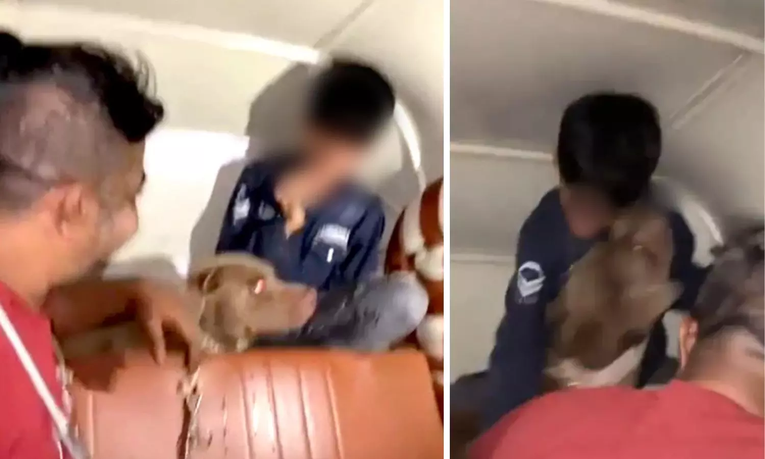 Mumbai Man Booked as Pitbull Mauls Boy While He Allegedly Laughed