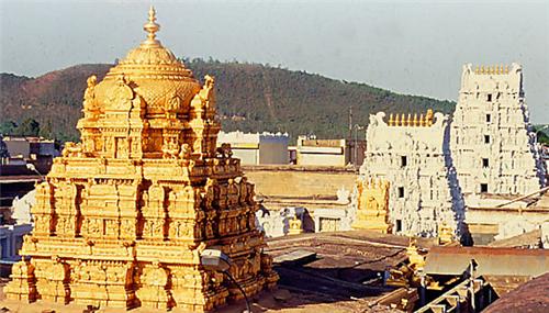 Devotees Donate to TTD Initiatives
