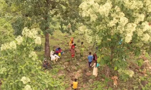 Leaders Prompting Multhanis To Attack Forest Staff, Police: Forest Officials