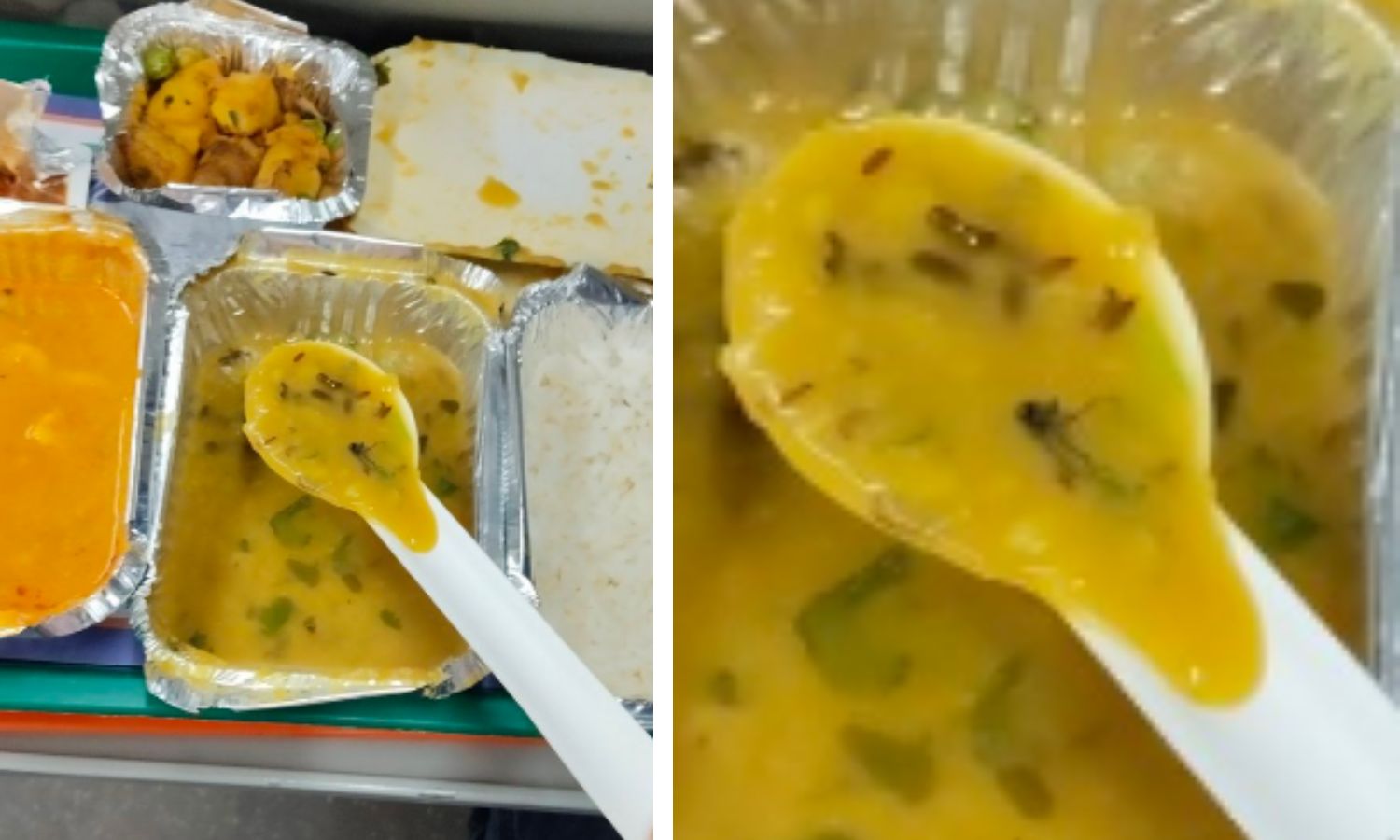 Insect Found in Vande Bharat Meal Sparks Food Safety Concerns