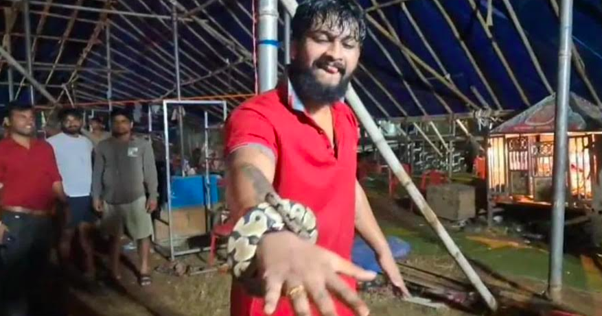 Opera Actor Summoned Over Live Python Use in Odisha