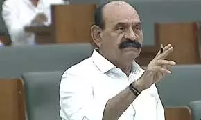 P-4 in AP: 1.06 Lakh Golden Families Identified In Nellore District