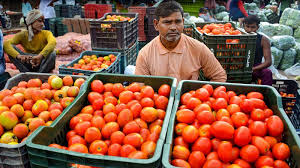 Rains Devastate Tomato Crops in Chittoor District, Farmers Suffer Losses