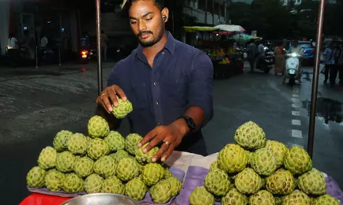 Custard Apple Season Begins Early; Prices Dip, Demand Rises