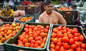 Tomato Farmers Suffer Losses As Rains Wreak Havoc