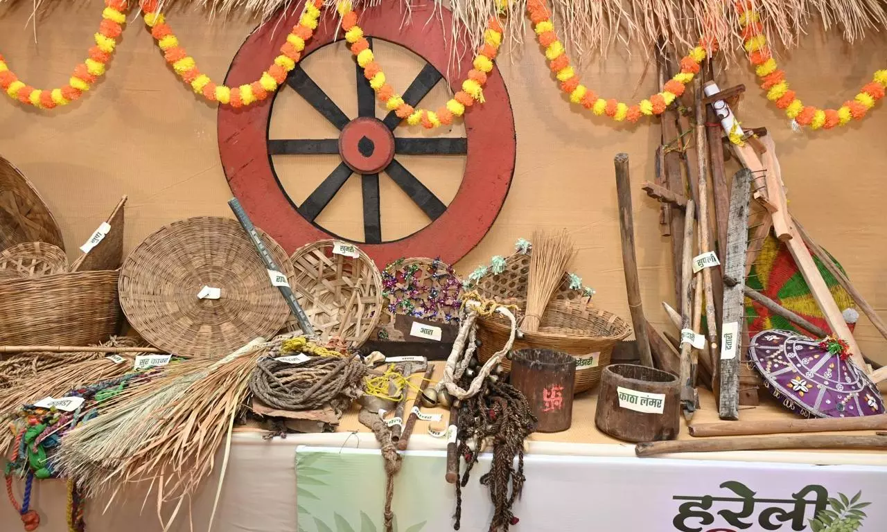 Hareli Celebration Turns Sai’s Residence, Museum of Chhattisgarhs Rich Folk Legacy Hareli Celebration Turns Sai’s Residence, Museum of Chhattisgarhs Rich Folk Legacy