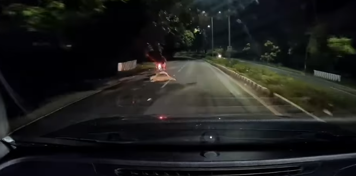 Leopard Attempts Attack on Biker in Tirupati