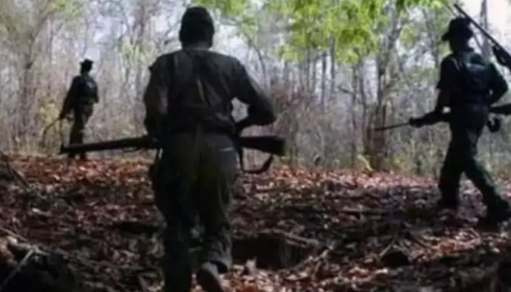 Chhattisgarh: 4 Maoists Gunned Down in Bijapur Encounter; Huge Cache of Weapons, Explosives Recovered, Search Operation Underway