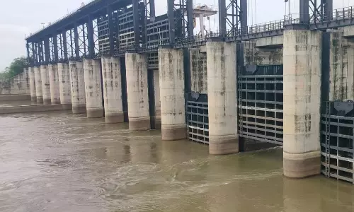 Inflows into Sriramsagar Project Double