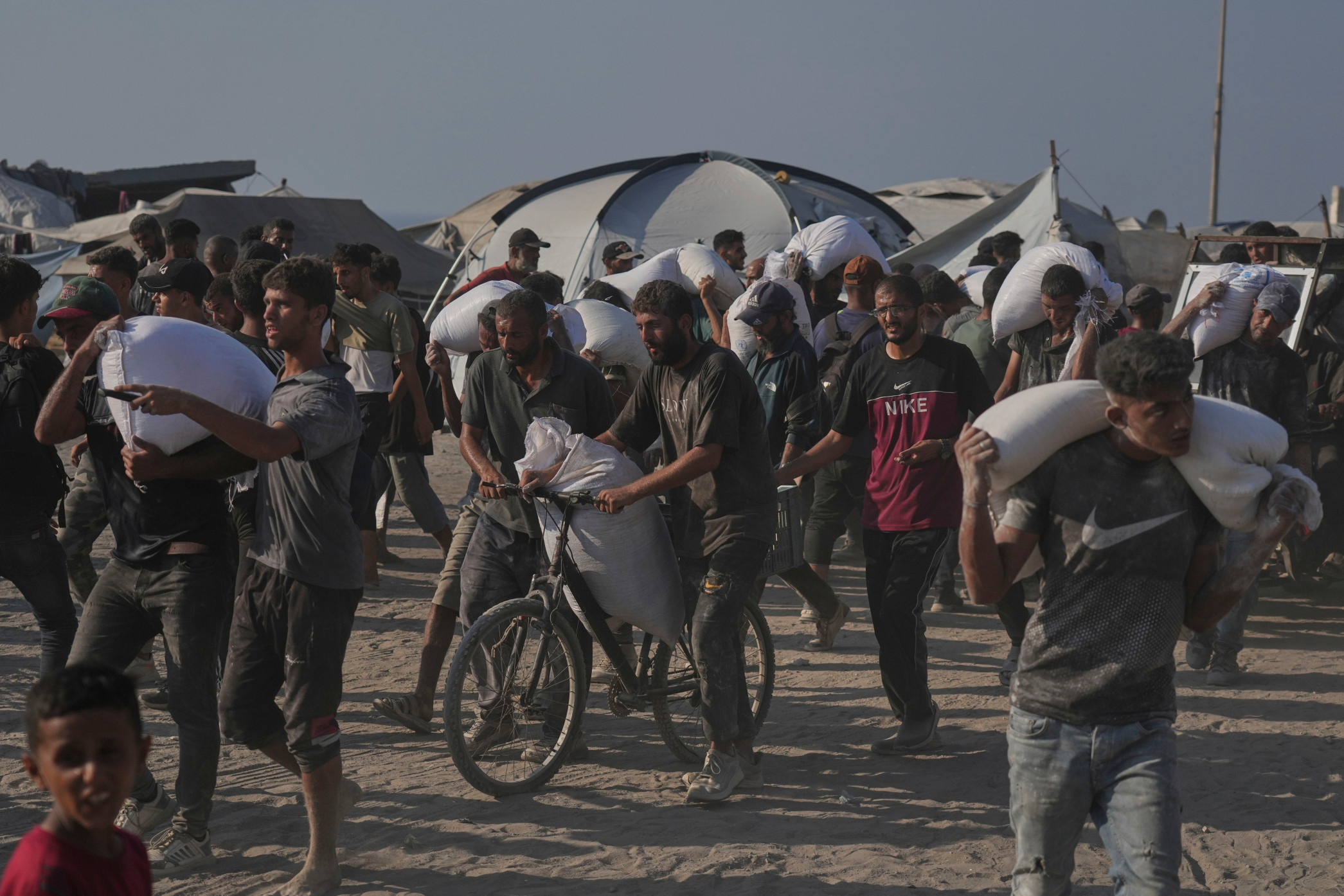 German MEP Requests Full EU Gaza Aid Records