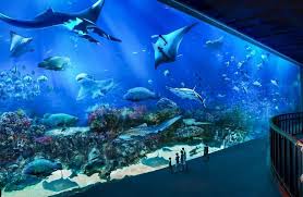 Singapore Opens Three Times Larger Oceanarium at Sentosa Island