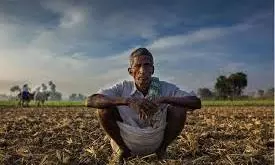 Centre Allows Exemption of Non-farming Lands From Digital Crop Survey Centre Allows Exemption of Non-farming Lands From Digital Crop Survey