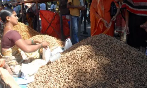 Groundnut Cultivation Declines in Anantapur