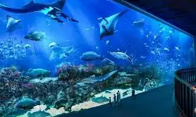 Singapore Opens 3 Times Larger Oceanarium At Sentosa Island