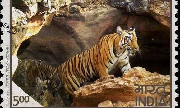 Kawal Tiger Reserve Marks 13 Years Of Being Tiger Free