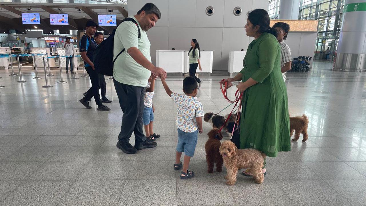 RGIA Introduces Therapy Dogs to Soothe Anxious Flyers