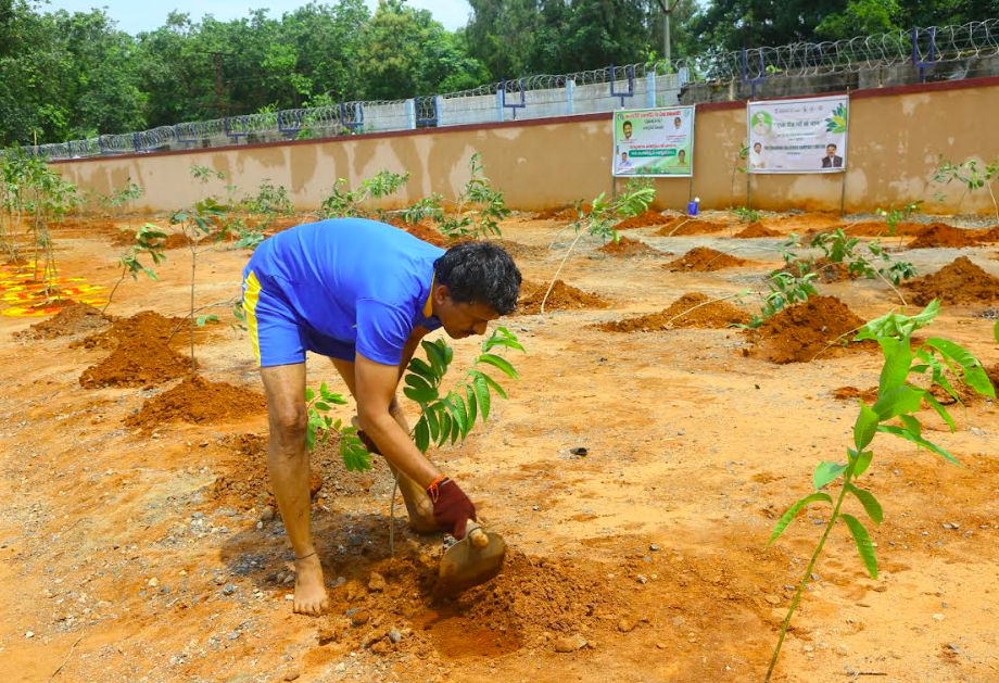 Singareni CMD Plants Trees, Promoting Environmental Protection