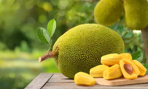 Kerala Bus Drivers Fail Breath Analyser Test After Eating Jackfruit, Heres What Happened