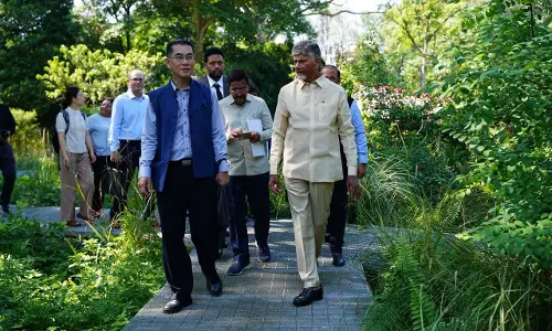 Andhra CM Seeks Singapore’s Support In Green Energy, Data Centres And Logistics in AP