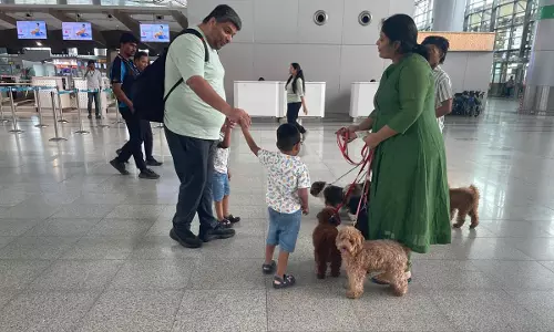 RGIA’s Cuddly Crew To Soothe Flyers