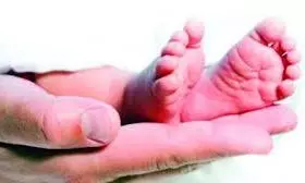 Surrogacy Scam: Officials Ramp Up Fertility Centre Inspections In Andhra Pradesh