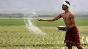 BJP Blames Cong. For Fertiliser Crisis