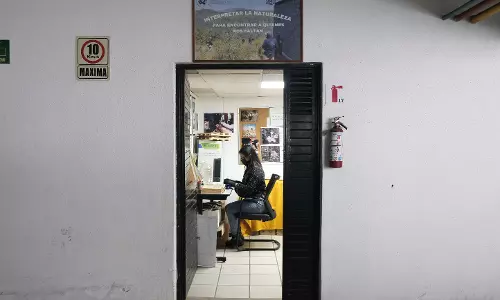 How High-Tech Tools, Pigs Help in Search for Mexican Drug Cartel Victims