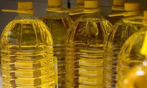 Indonesia Expects Palm Oil Exports to India to Exceed 5 Mn-Tonnes Mark in 2025