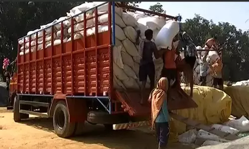 Over 1 Lakh Odisha Farmers Served Notices For Submitting False Crop Details